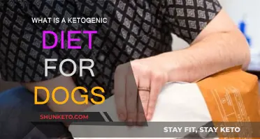 Ketogenic Diet for Dogs: What You Need to Know