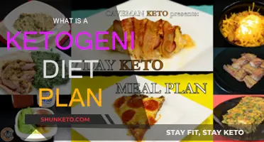 Ketogenic Diet Plan: Understanding the Basics of Keto