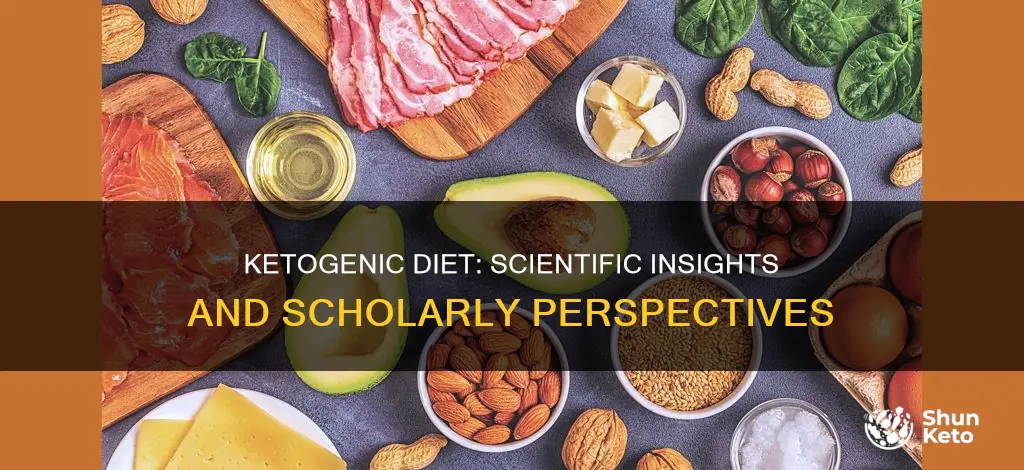 what is a ketogenic diet scholarly articles