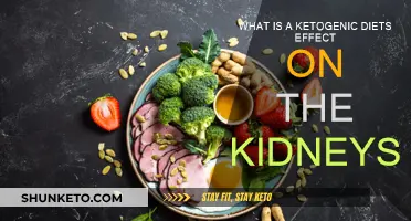 Ketogenic Diets: Kidney Health Benefits and Risks