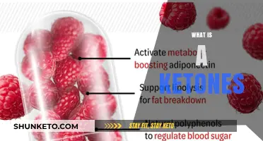 Understanding Ketones: Essential Insights into Their Role and Benefits