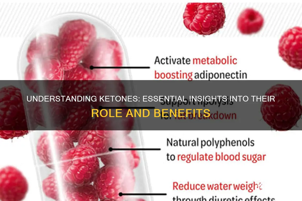 what is a ketones