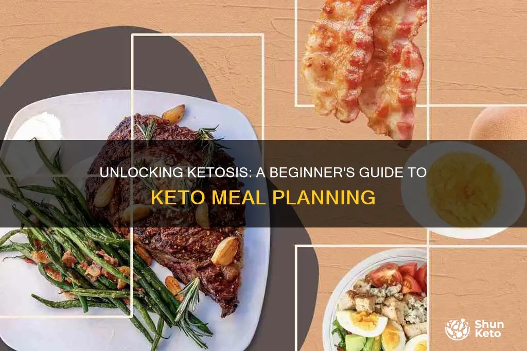 what is a ketosis diet meal plan