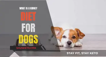 Kidney Diet for Dogs: What You Need to Know