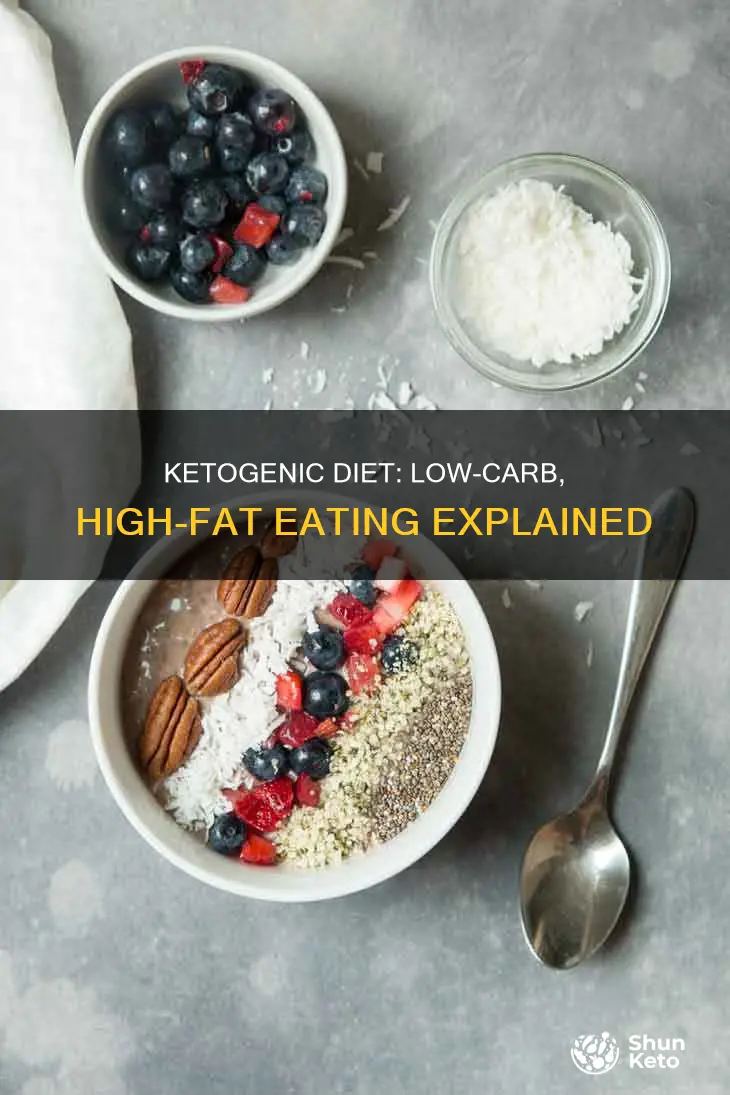 what is a lchf ketogenic diet