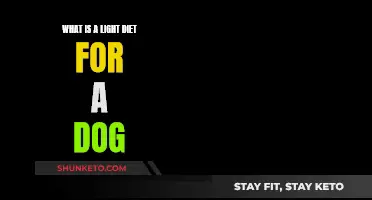 Light Dieting for Dogs: What's the Right Approach?