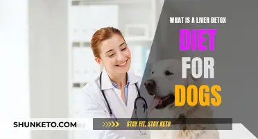 Liver Detox Diet: A Canine Guide to Healthy Liver Function
