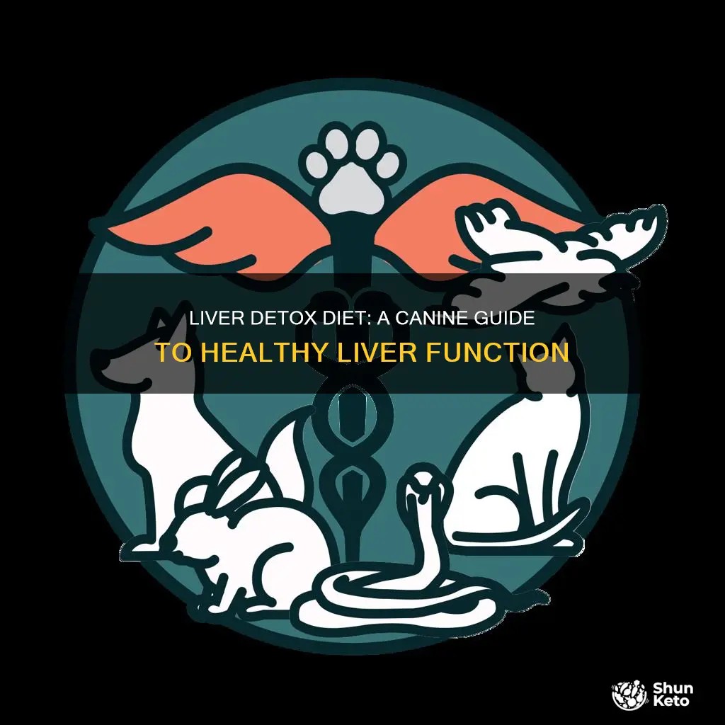 what is a liver detox diet for dogs