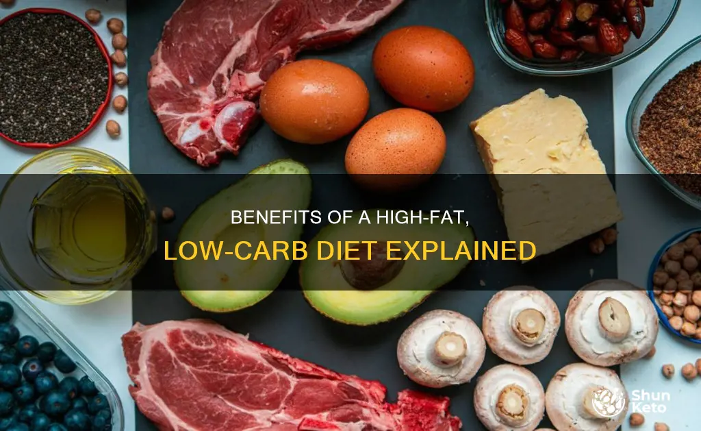 what is a low carb high fat diet