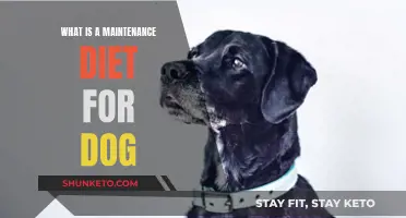 Maintenance Diets: Keeping Your Dog Healthy and Happy