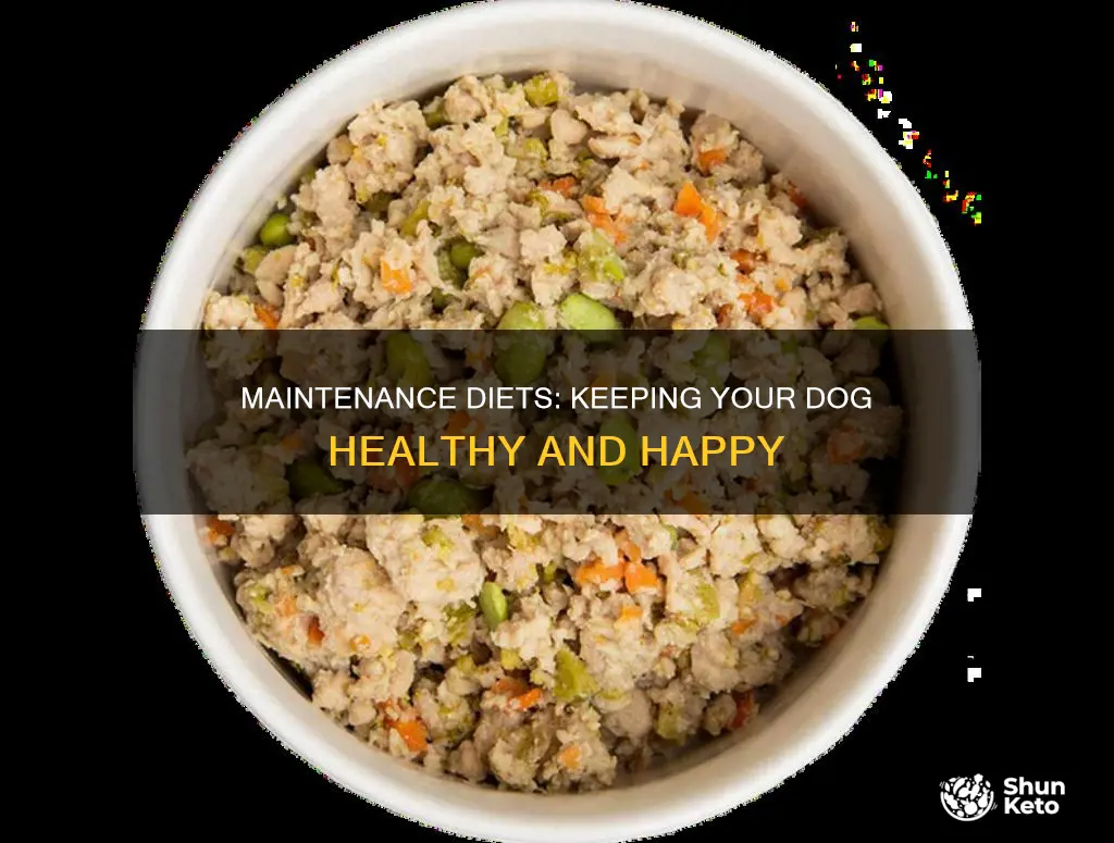 what is a maintenance diet for dog