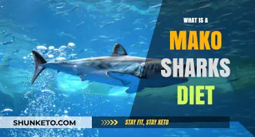Mako Sharks' Preferred Diet: What Do They Eat?