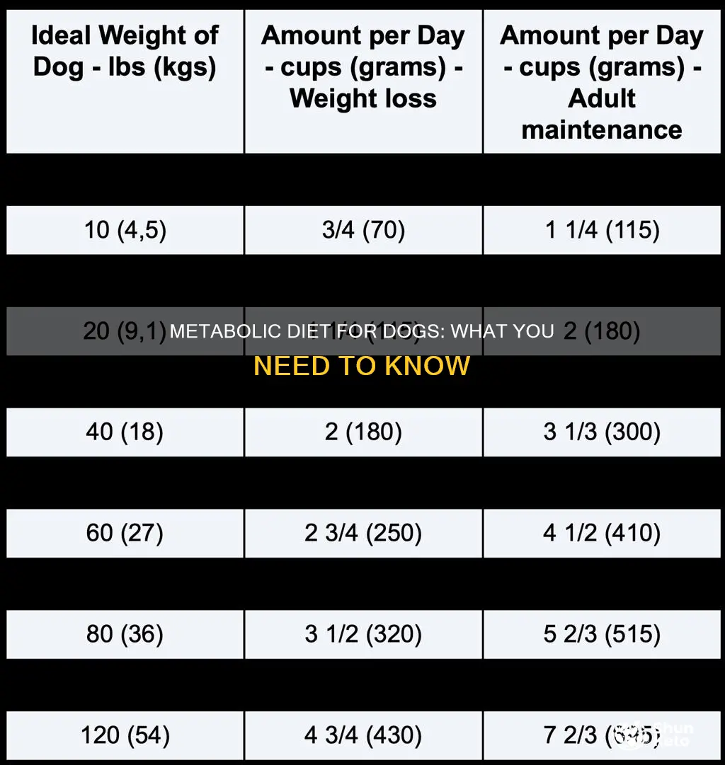 what is a metabolic diet for a dog