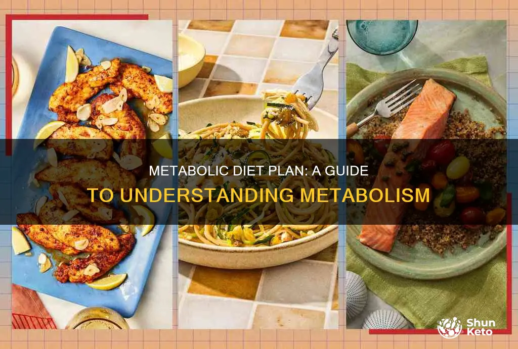 what is a metabolic diet plan