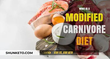 Modified Carnivore Diet: What's Allowed, Benefits and Risks