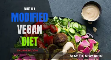 Vegan Diet Modifications: What You Need to Know