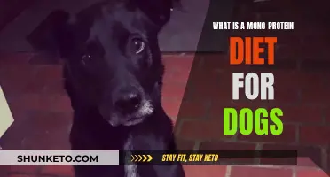 Mono-Protein Diet: A Dog's Simple Nutritional Solution