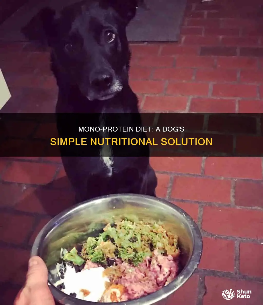 what is a mono-protein diet for dogs