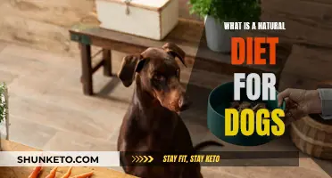 Natural Diet for Dogs: What Should You Feed Your Pet?