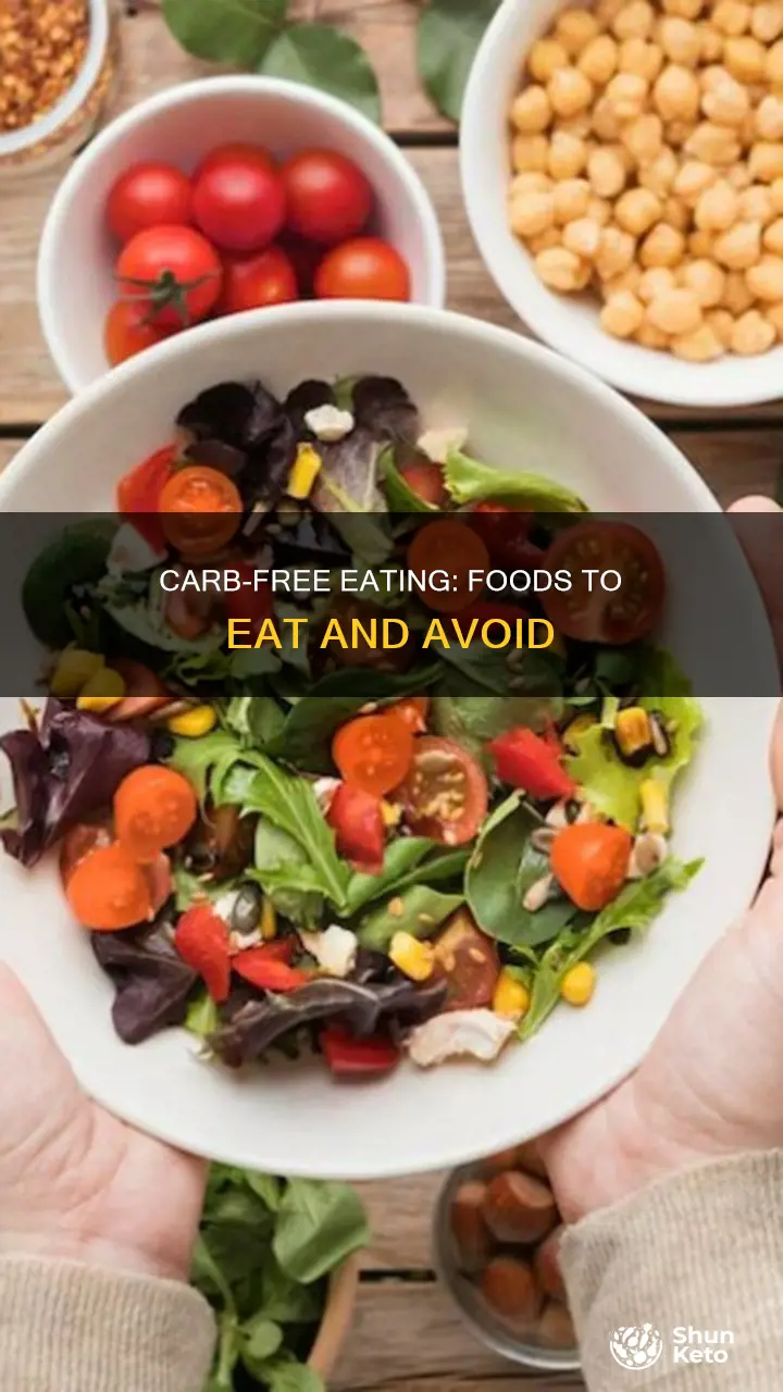 what is a no carb diet list