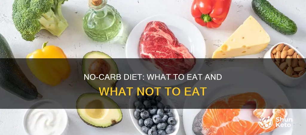 what is a no carb diet plan