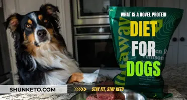 Novel Protein Diets: Healthy, Balanced Nutrition for Dogs