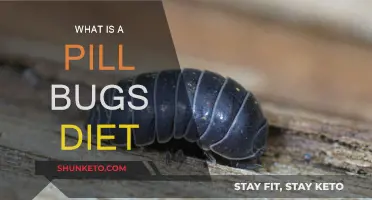 Pill Bug Diet: What Do They Eat?