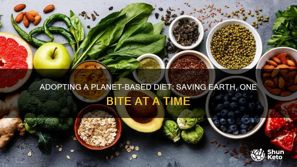 what is a planet based diet