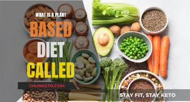 Plant-Based Diets: What's in a Name?