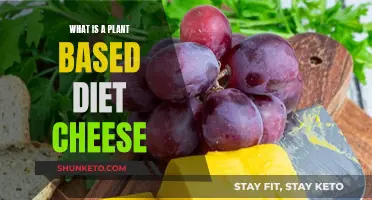 Plant-Based Diet: What's the Deal with Cheese?