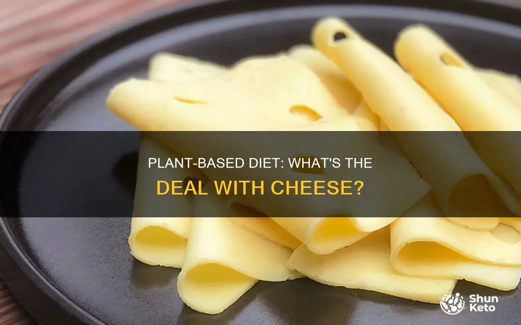 what is a plant based diet cheese