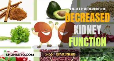 Plant-Based Diets: Helping or Hindering Kidney Function?