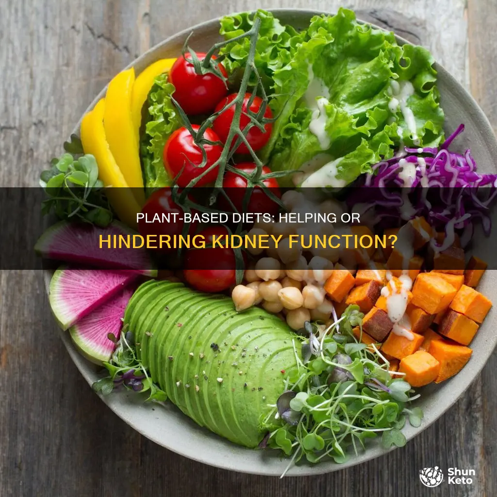 what is a plant-based diet for decreased kidney function