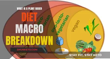 Plant-Based Diet: Macro Breakdown for Optimal Nutrition