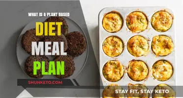 Plant-Based Diet: A Guide to Healthy, Delicious Meals