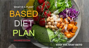 Plant-Based Diet: Eating Plan for Beginners