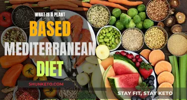 Plant-Based Mediterranean Diet: Eating for Health and Longevity