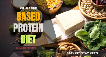 Plant-Based Protein Diet: A Healthy, Sustainable Choice