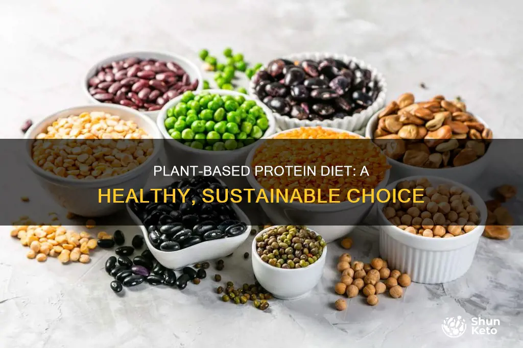 what is a plant based protein diet