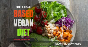 Plant-Based Vegan Diet: Eating for a Healthier You