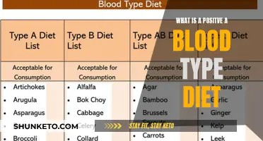 Blood Type Diet: Unlocking Wellness with Personalized Nutrition