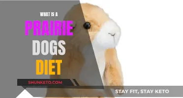 Prairie Dogs' Diet: What Do They Eat?