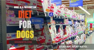 Prescription Diet Plans for Dogs: What You Need to Know