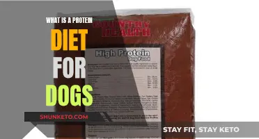 Protein Diet for Dogs: What You Need to Know