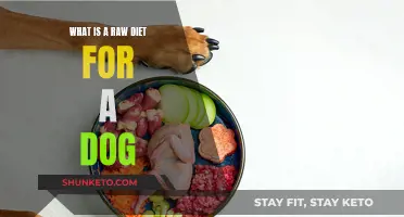 The Benefits of Feeding Your Dog a Raw Diet
