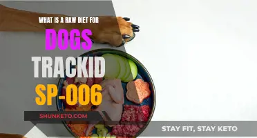Exploring Raw Diets for Dogs: TrackID SP-006 Explained