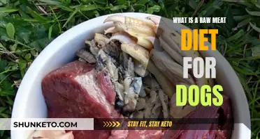 The Benefits of Raw Meat Diet for Dogs