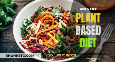 Unlocking the Power of Raw Plant-Based Eating