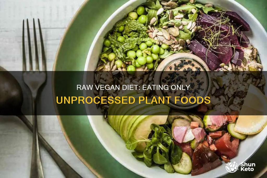 what is a raw vegan diet