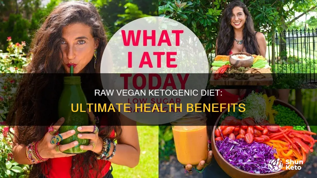 what is a raw vegan ketogenic diet